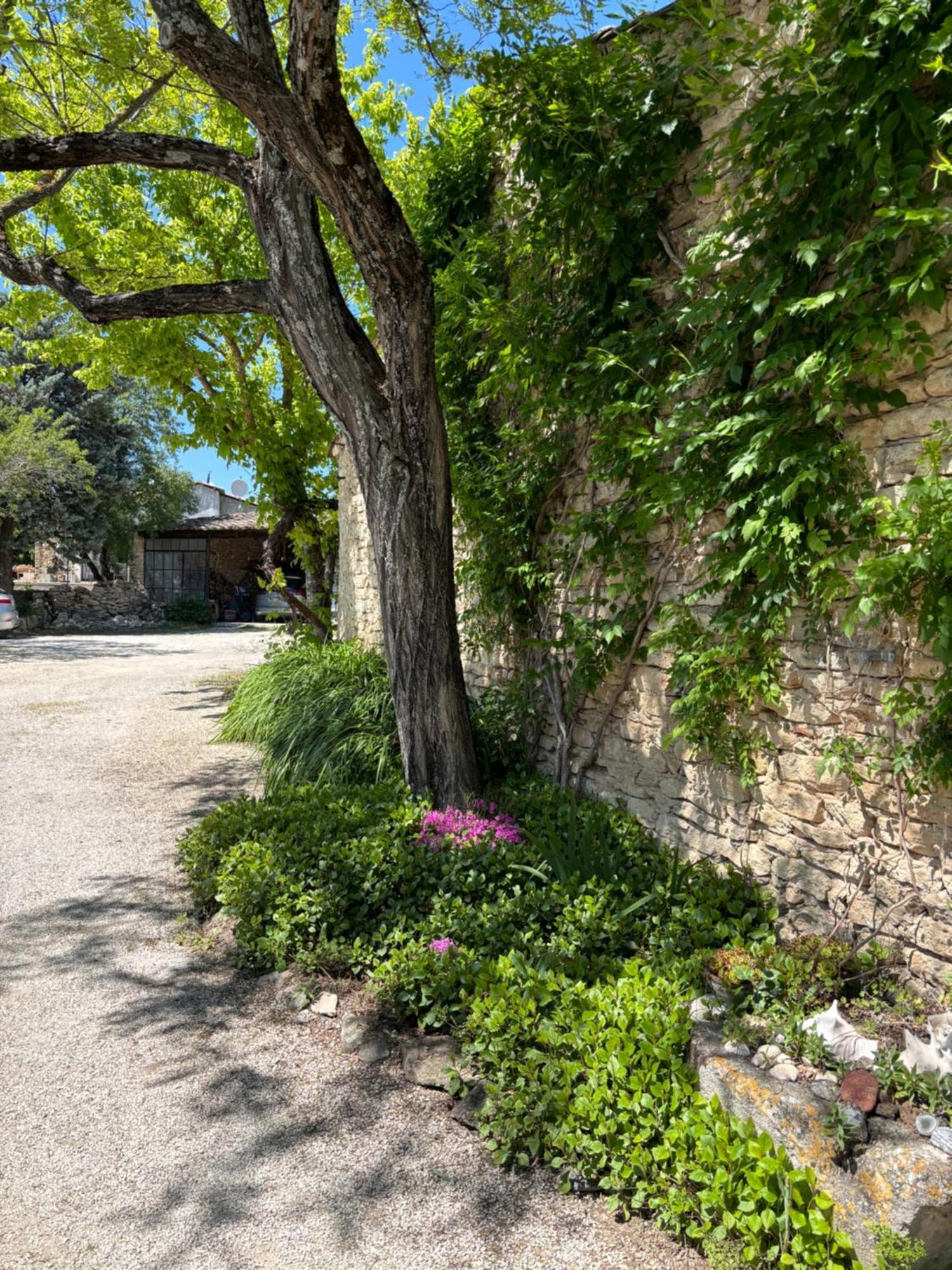 Appartement Les Juliens à Gordes Extérieur photo